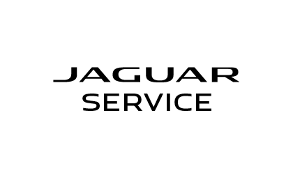 Jaguar Service schwarz